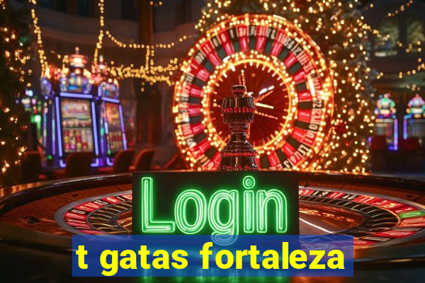 t gatas fortaleza